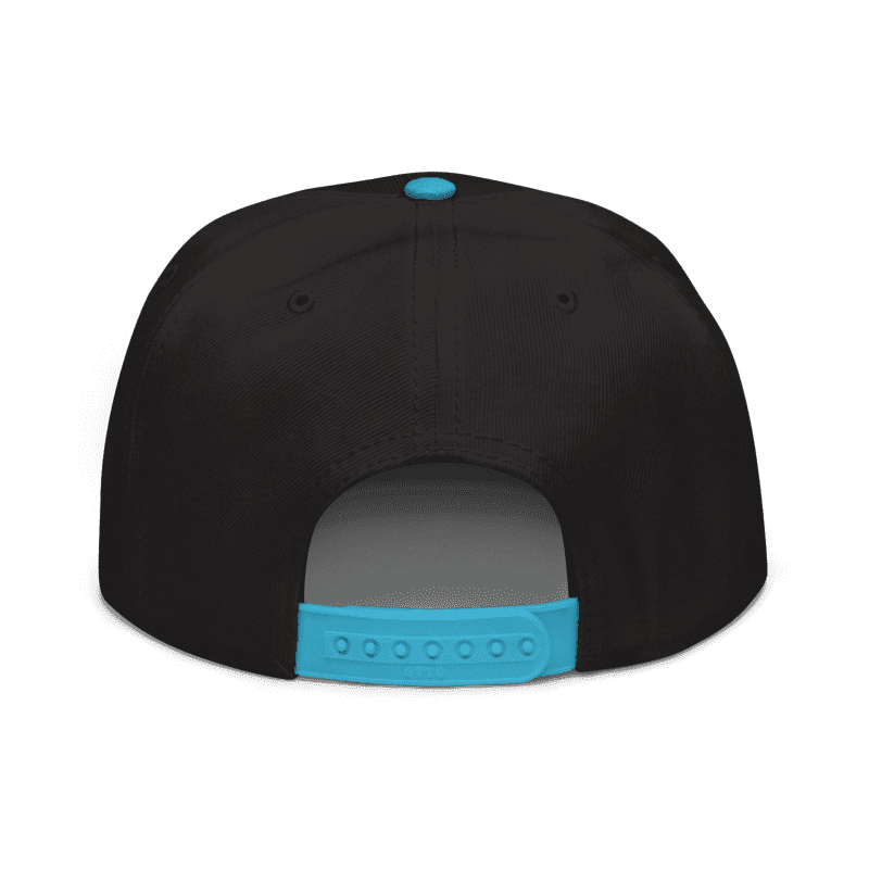 classic logo hat