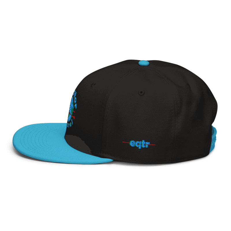 classic logo hat