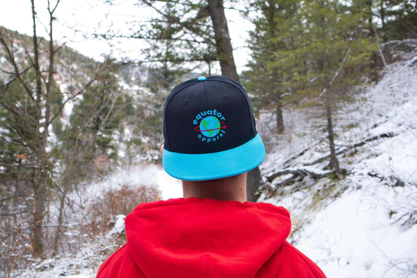 classic logo hat