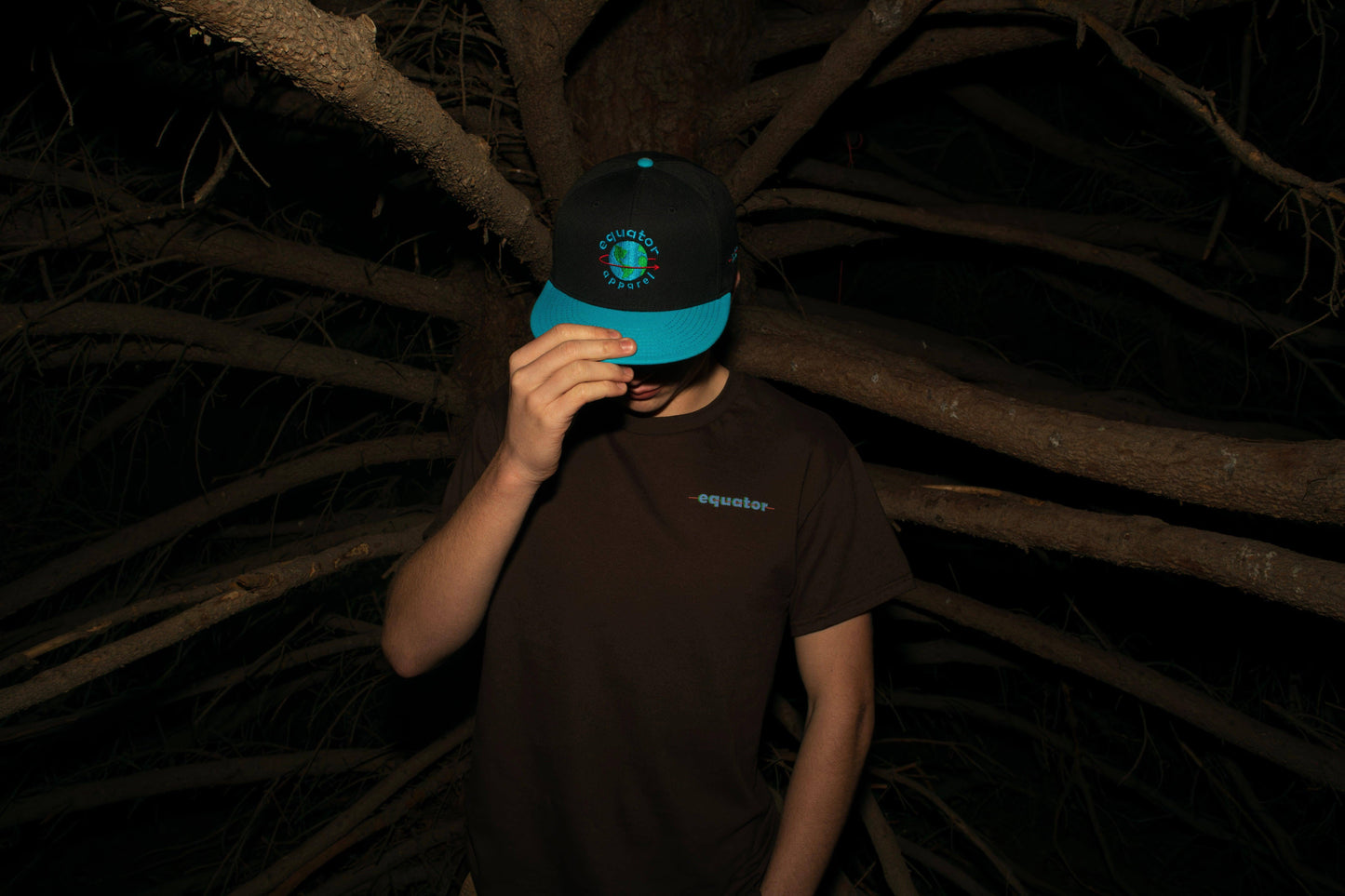 classic logo hat