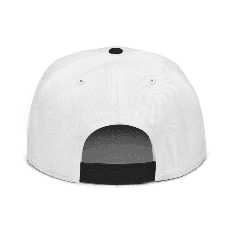 classic logo hat