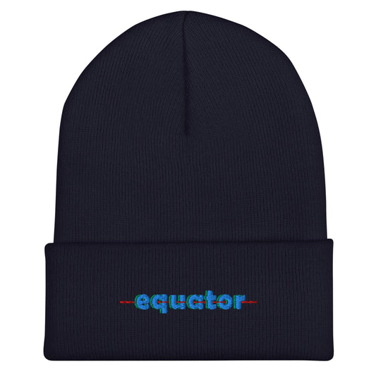 classic logo beanie