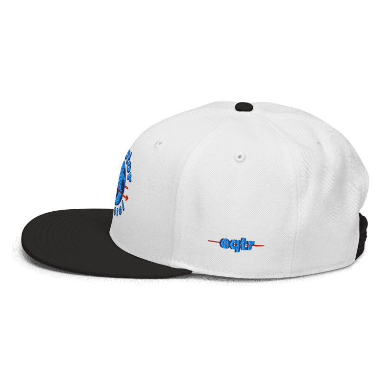 classic logo hat